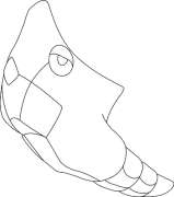 Metapod آن لائن رنگین